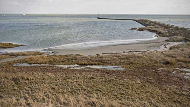 Auf Nordsee-Insel angespülte Leiche nach 53 Jahren identifiziert