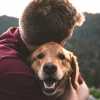 Bester Freund des Menschen: Von sinnvoll bis lustig – über diese zehn Geschenkideen freuen sich Hundebesitzer